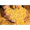 枣阳傲现养殖常年求购玉米麸皮油糠高粱豆粕等饲料原料