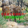 不锈钢绳网价格，不锈钢绳卡扣网厂，动物园柔性防护不锈钢绳网价格如何，价格公道的不锈钢绳网华海源专供