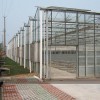 温室大棚建造费用，温室大棚造价