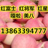 山东红富士苹果产地低价出售