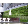 生态绿植墙实时报价 西安生态绿植墙设计