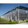 全国阳光板温室 质量好的阳光板温室大棚推荐