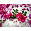 盛典玫瑰提供价格适中的香精香料化妆品原料，香港香精香料化妆品原料