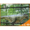 上等真实大小恐龙：优质的侏罗纪仿真恐龙由自贡嘉华工艺提供