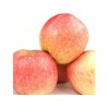 泉州价格合理的国产水果批售：水果配送批发