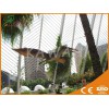 自贡知名厂家为您供应价格实惠的仿真动物 真实大小恐龙