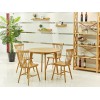天津价格合理的瑞德斯系列餐桌椅组合供销_优质的实木餐椅