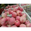 山东红富士苹果价格便宜质量好