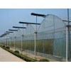 极好的玻璃温室哪里有|新疆温室工程
