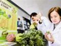 天津北辰区：蔬菜基地设检测室 确保市民吃得放心