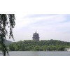 广州东莞深圳至来宾市物流货运站货运公司，广东哪里有一流的广州东莞至来宾市专线货运