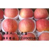 常年大量供应山东红富士苹果