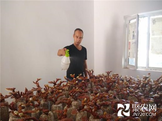 图片2