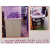 PVC板海水鱼缸代理加盟：许昌地区销售销量好的PVC板海水鱼缸