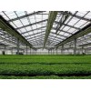 潍坊可靠的园艺温室建造公司是哪家_山东园艺温室建造