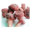 越南原生态红菇：实用的红菇【荐】