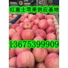 山东省红富士苹果最新价格行情信息