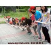 武汉天龙体育运动_受欢迎的拓展培训机构，一流的素质拓展