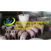 养猪设备价格实惠|山东价格合理的养猪料线