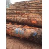 莆田铁杉——福建可靠的铁杉批发供应商