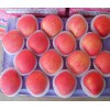 红富士苹果种植基地批发价格