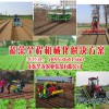 小行距移栽机|华龙机械提供优惠的蔬菜移栽机