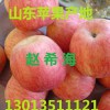 条纹红富士苹果产地批发价格