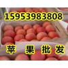 红富士苹果批发产地 冷库红富士苹果价格