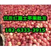 182-6333-3915山东苹果产地山东红富士苹果价格