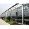 福建玻璃温室大棚专业设计建造_泉州玻璃温室大棚