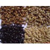 济南专业的大麦芽批发|黑麦芽批发厂家