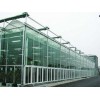 新型日光温室：可靠的日光温室建设推荐
