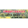 想要极好的草花就来新园花卉——青州红王子锦带