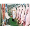 大量供应质量好的广西生猪屠宰场，钦州生猪屠宰