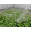 农业节水喷灌设备/蔬菜种植园喷灌/节水喷灌系统