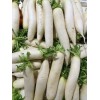 虎门蔬菜批发商_青之叶膳食是优质的蔬菜批发商