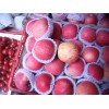 山东优质红富士80苹果批发产地17863386688