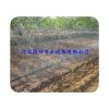 【小麦灌溉喷带】大田微喷设备 河北张家口蔚县微喷带