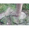杜仲灌溉16mmPE管 河南焦作孟州市果树滴灌 果树水肥一体化