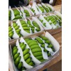 广西产地香蕉批发上市2017