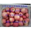 红富士苹果产地今日供应价格15020310061