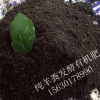 羊粪价格 河北优质羊粪批发 羊粪有机肥 果蔬通用肥