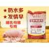哺乳母猪预混料增食欲促产奶 母猪复合饲料厂家直销