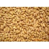 求购糯米高粱玉米小麦大米淀粉豆类碎米等原料