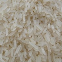 大量求购国产大米、碎米、缅甸大米、越南大米