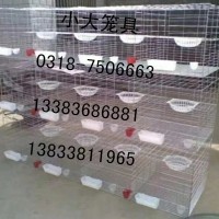 生产鸽笼 兔笼 鸡笼 运输笼 宠物笼 鹌鹑笼 狐狸笼 鹧鸪笼
