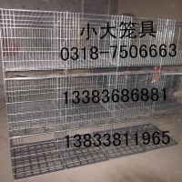 生产鸡笼鸽笼兔笼鹌鹑笼鹧鸪笼运输笼狗笼鸟笼猫笼宠物笼鸭笼貉笼