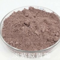 供应淡紫拟青霉微生物菌种原料厂家可代工