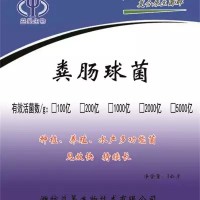 供应10亿-1000亿粪肠球菌 饲料添加微生物菌