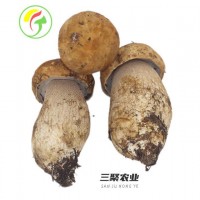 上海三聚农产品有限公司持续提供各种食用菌
